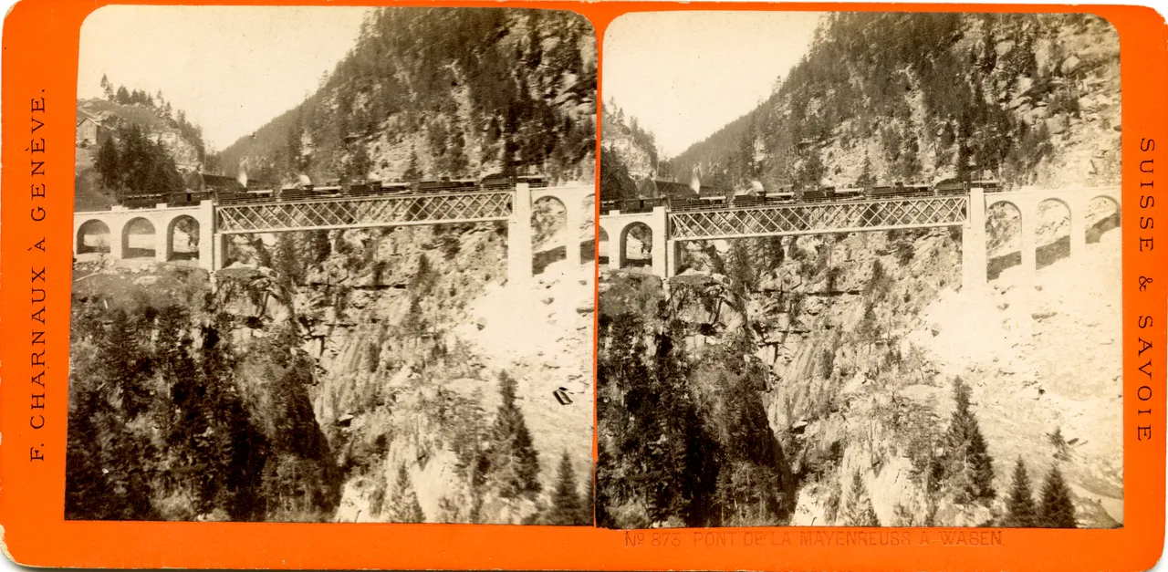MAG3496.jpg