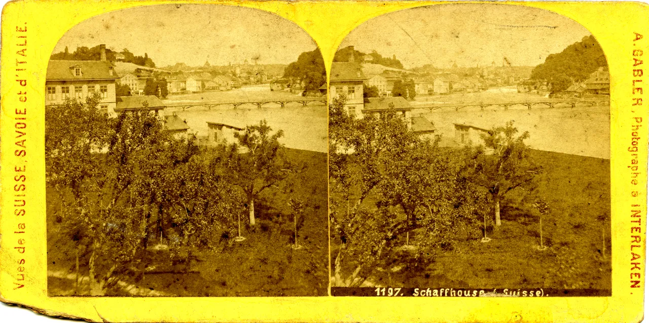 MAG3523.jpg