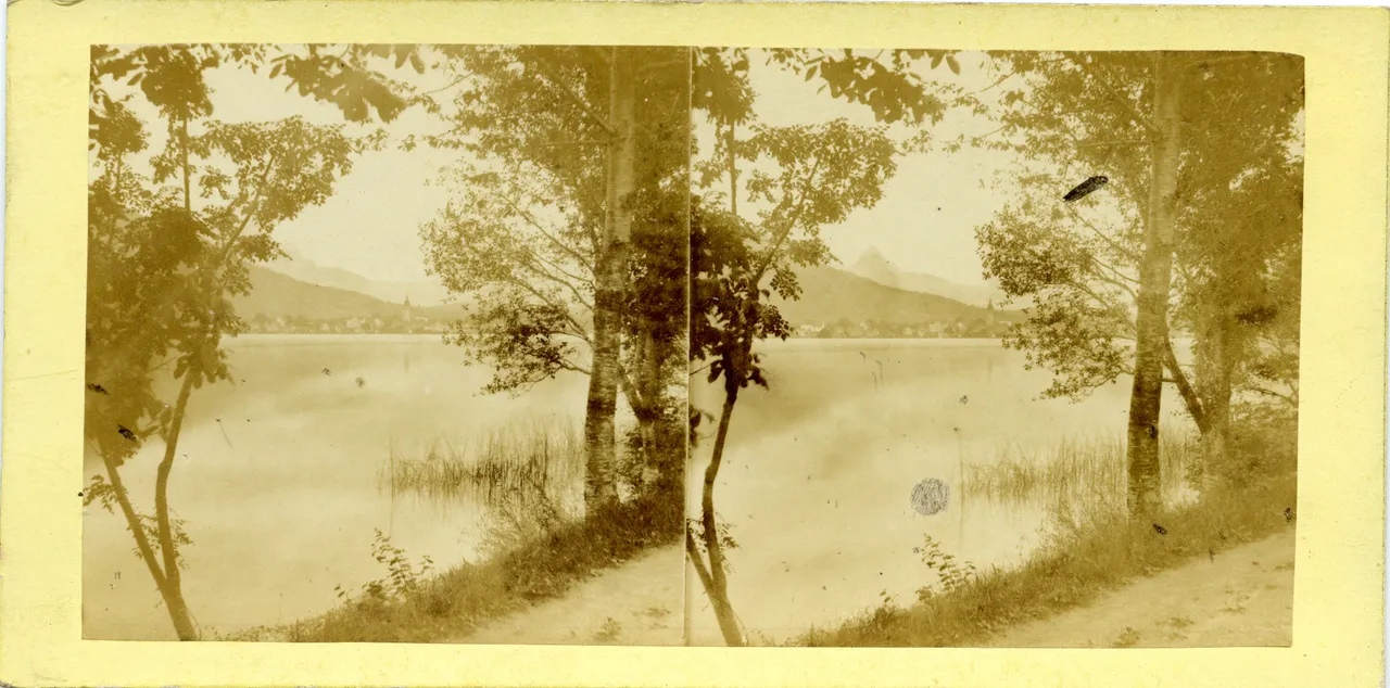 MAG3547.jpg