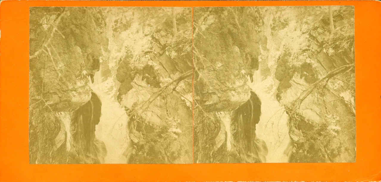 MAG3549.jpg