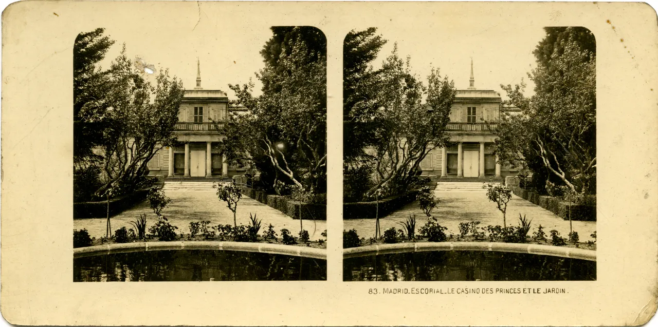 MAG3617.jpg