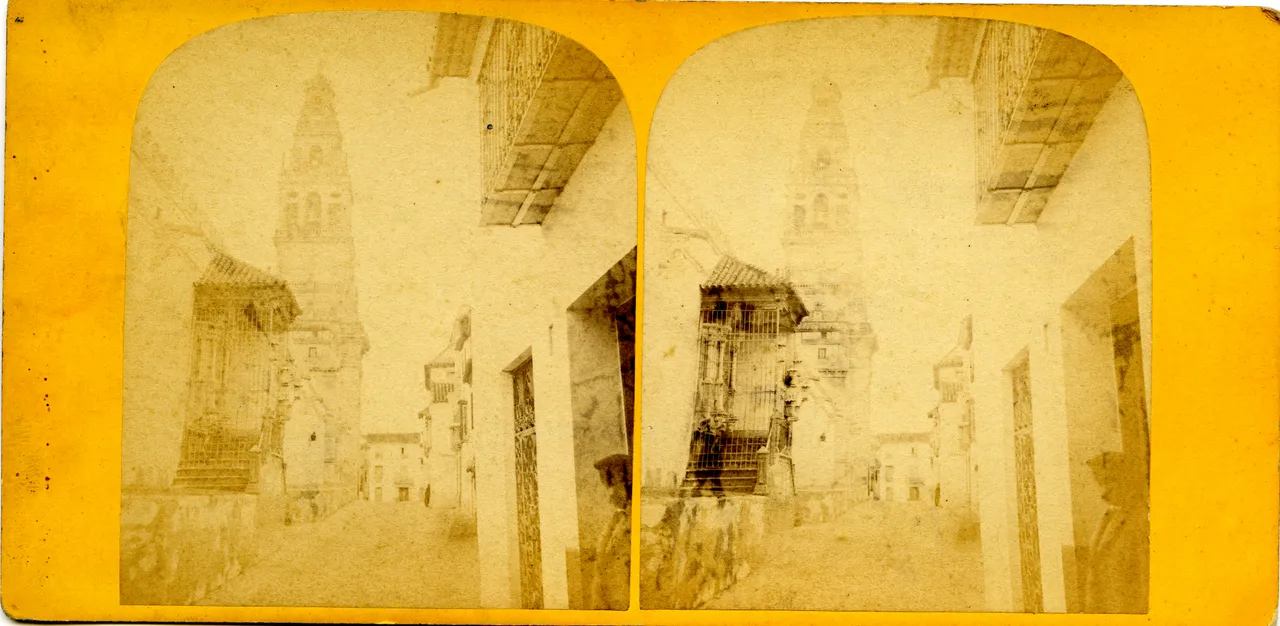 MAG3628.jpg