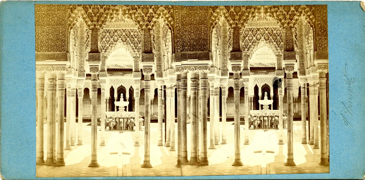 MAG3646.jpg