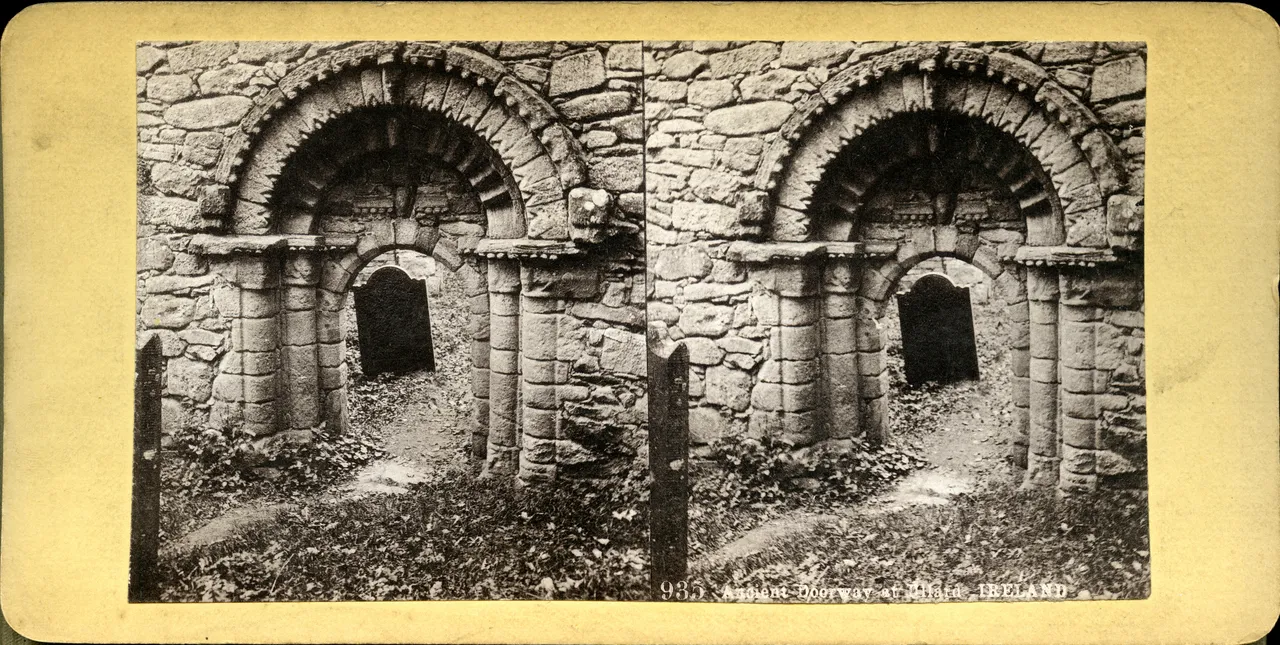 MAG3680.jpg