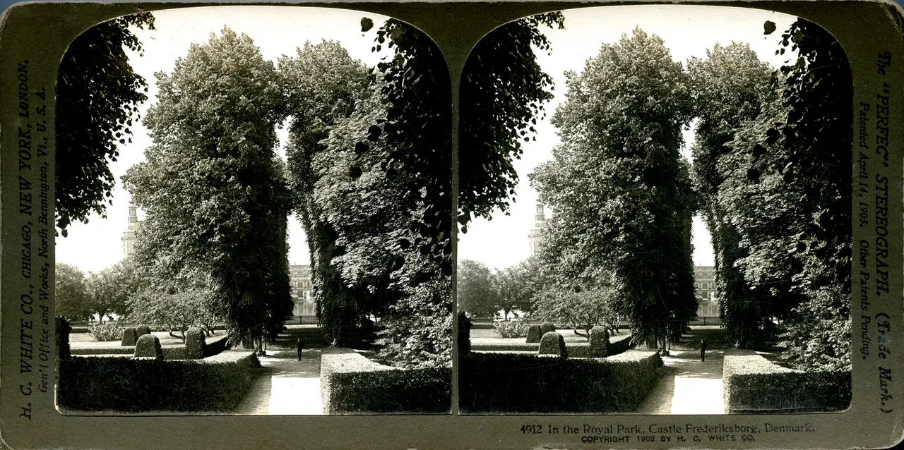 MAG3693.jpg