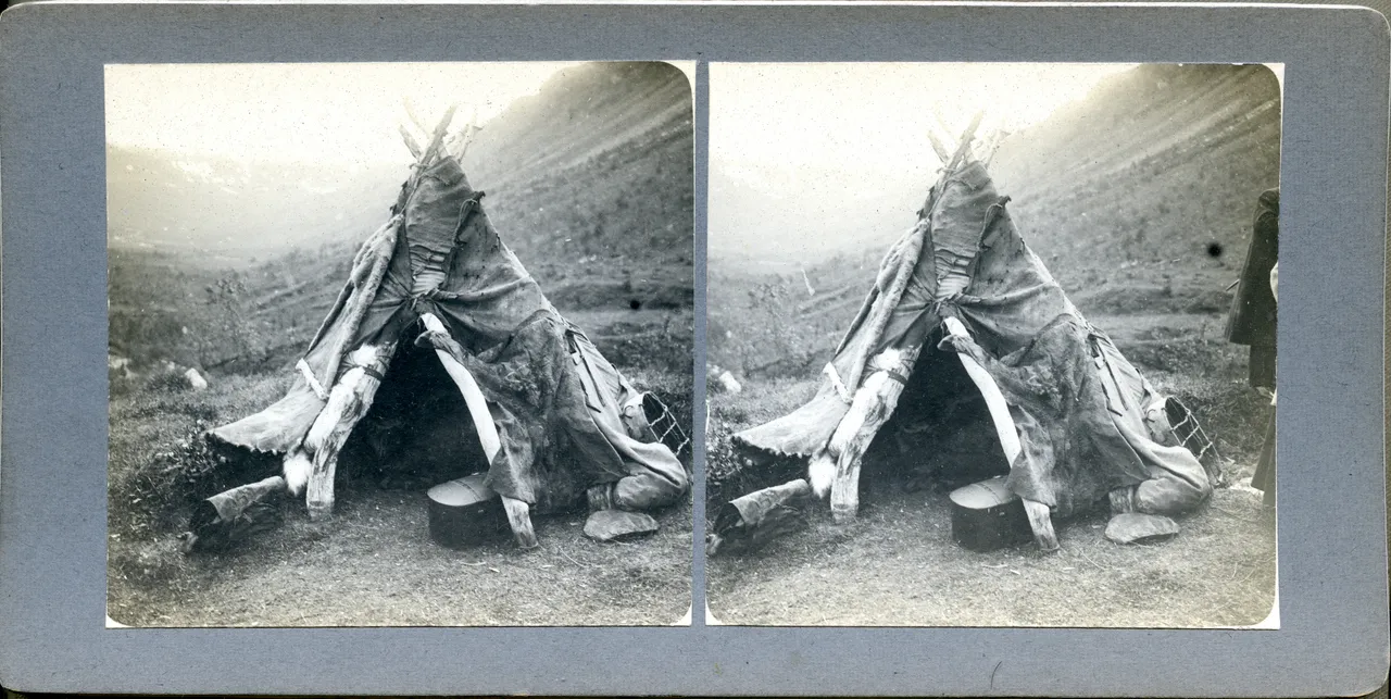 MAG3696.jpg