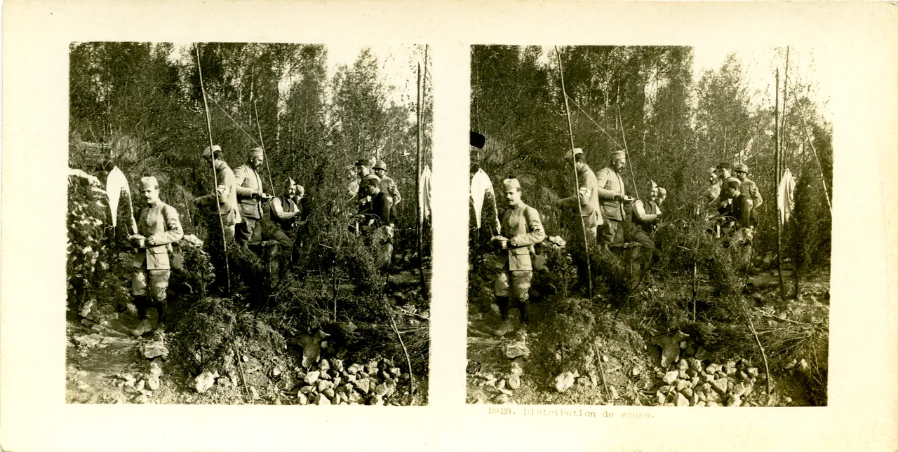 MAG3743.jpg