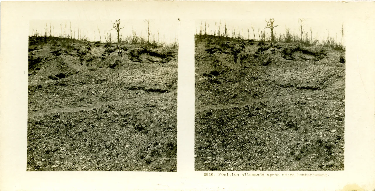 MAG3745.jpg