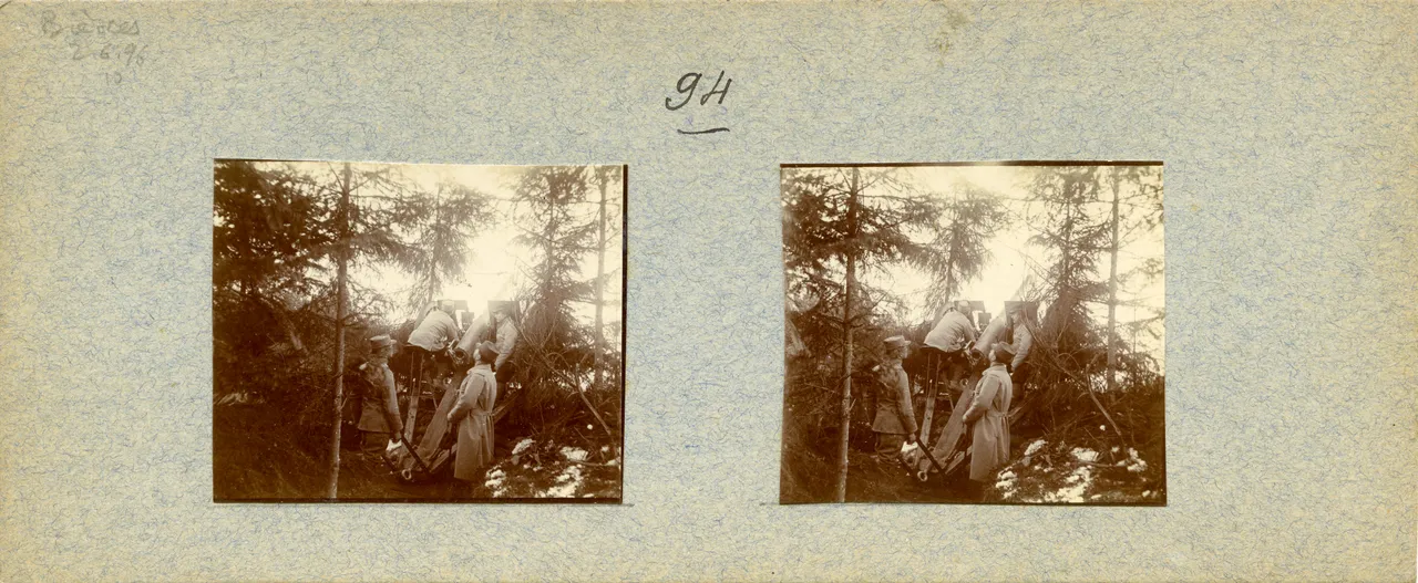 MAG3764.jpg
