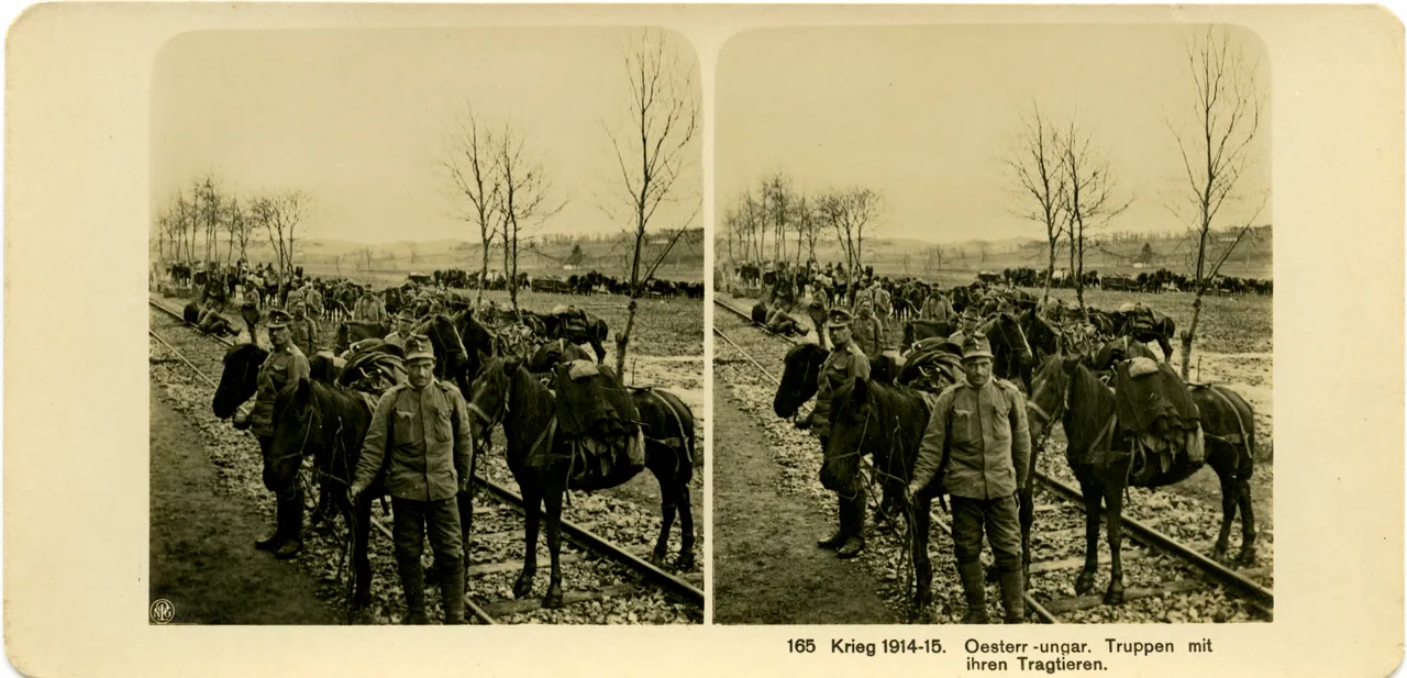 MAG3799.jpg