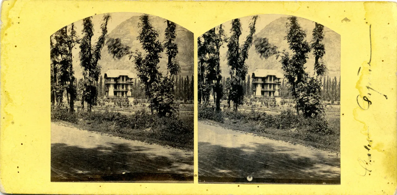MAG3824.jpg