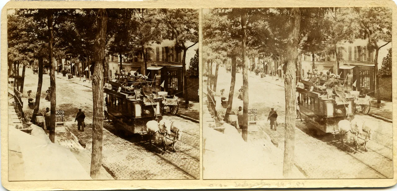 MAG3851.jpg