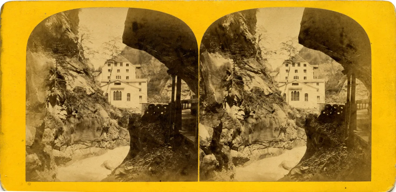 MAG3854.jpg