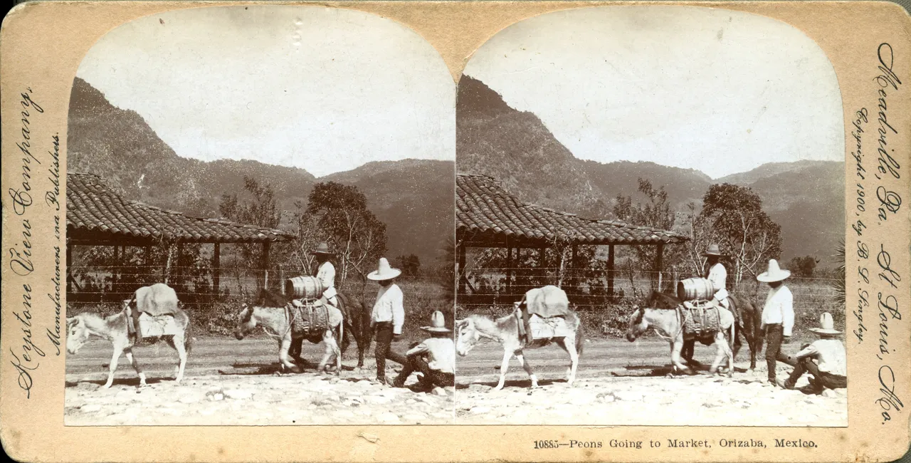 MAG3898.jpg