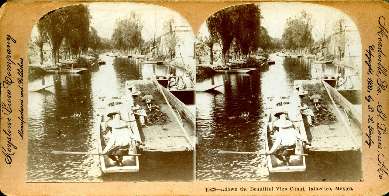 MAG3899.jpg