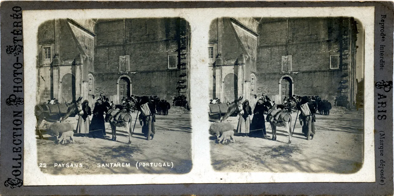 MAG3928.jpg