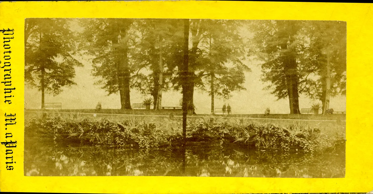 MAG3259.jpg