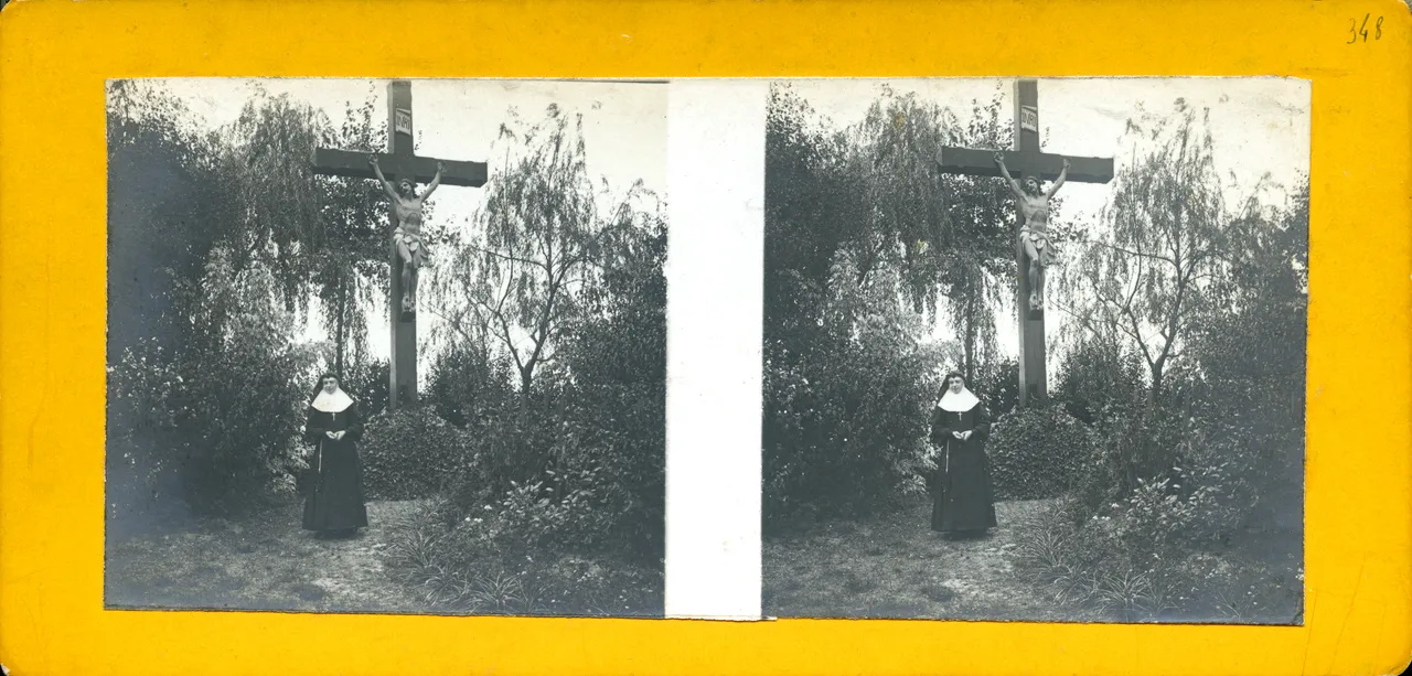 MAG3291.jpg