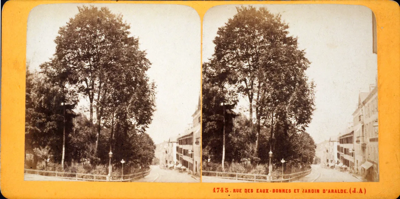 Mag6343.JPG