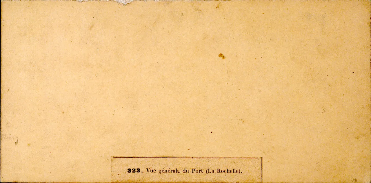 Mag6179.JPG