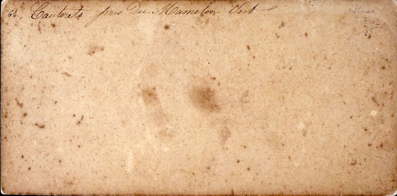 Mag6219.JPG