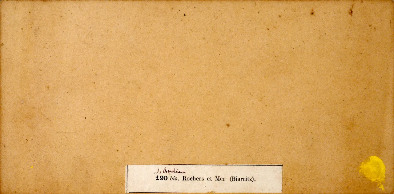 Mag6263.JPG