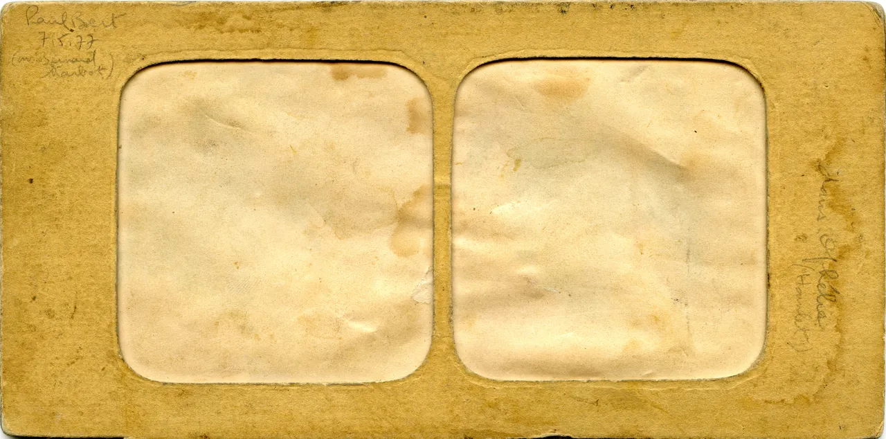 MAG3334.jpg
