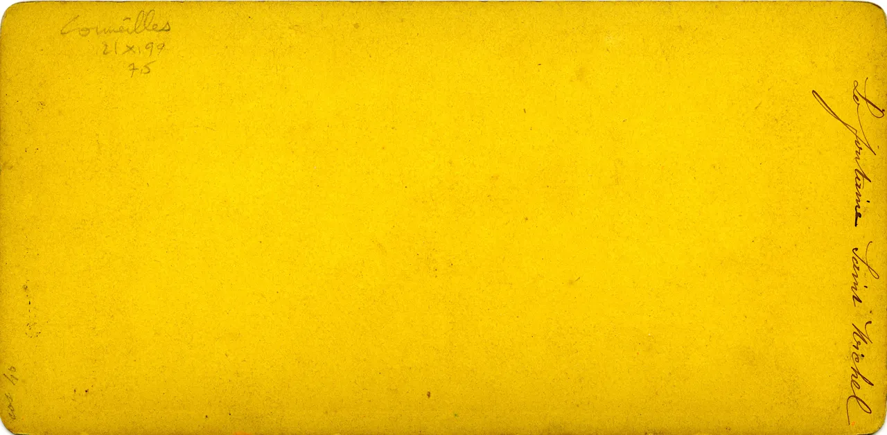 MAG3341.jpg