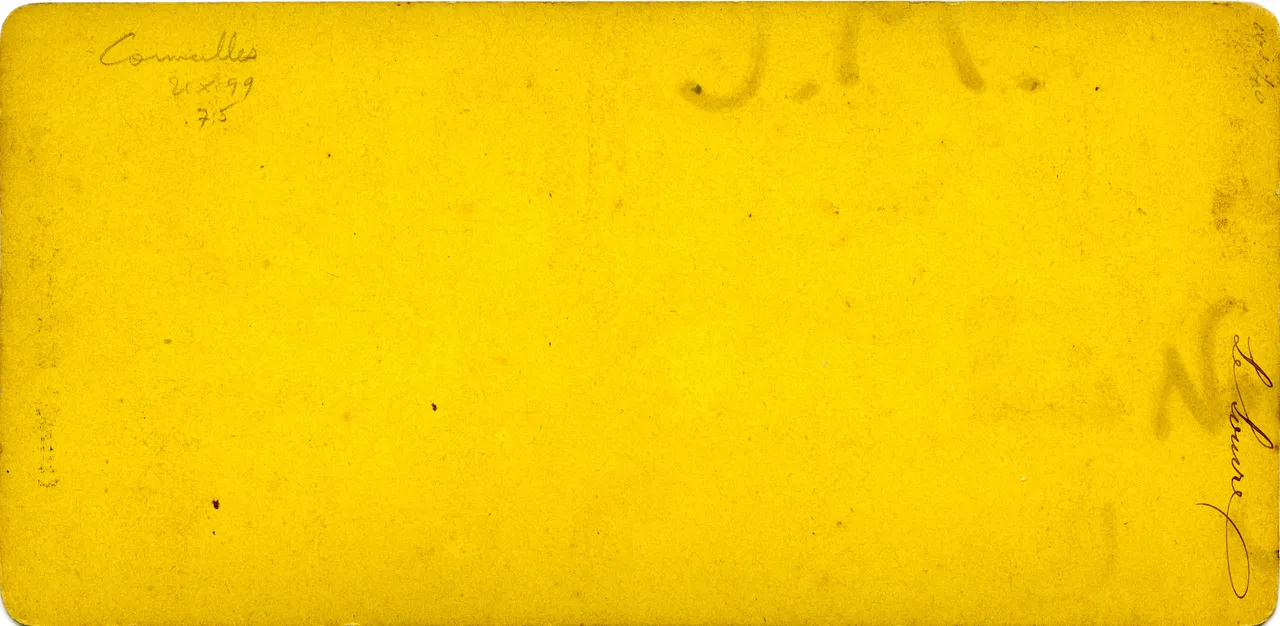 MAG3343.jpg