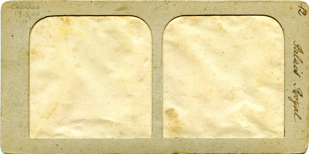 MAG3345.jpg