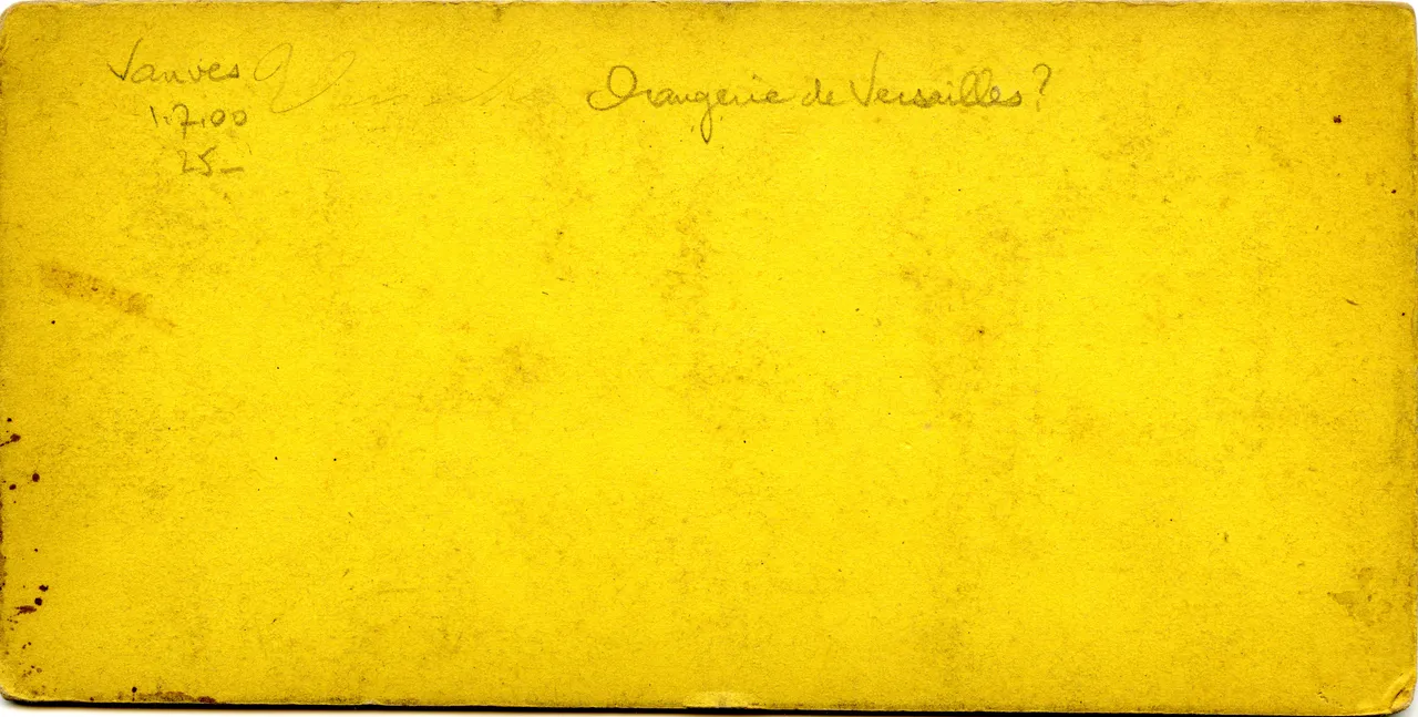 MAG3351.jpg
