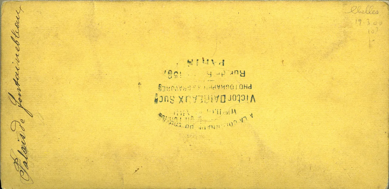 MAG3355.jpg