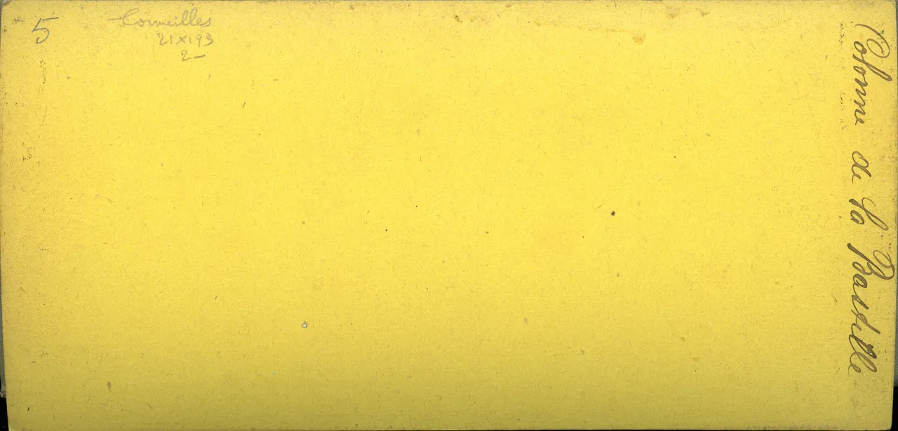 MAG3358.jpg