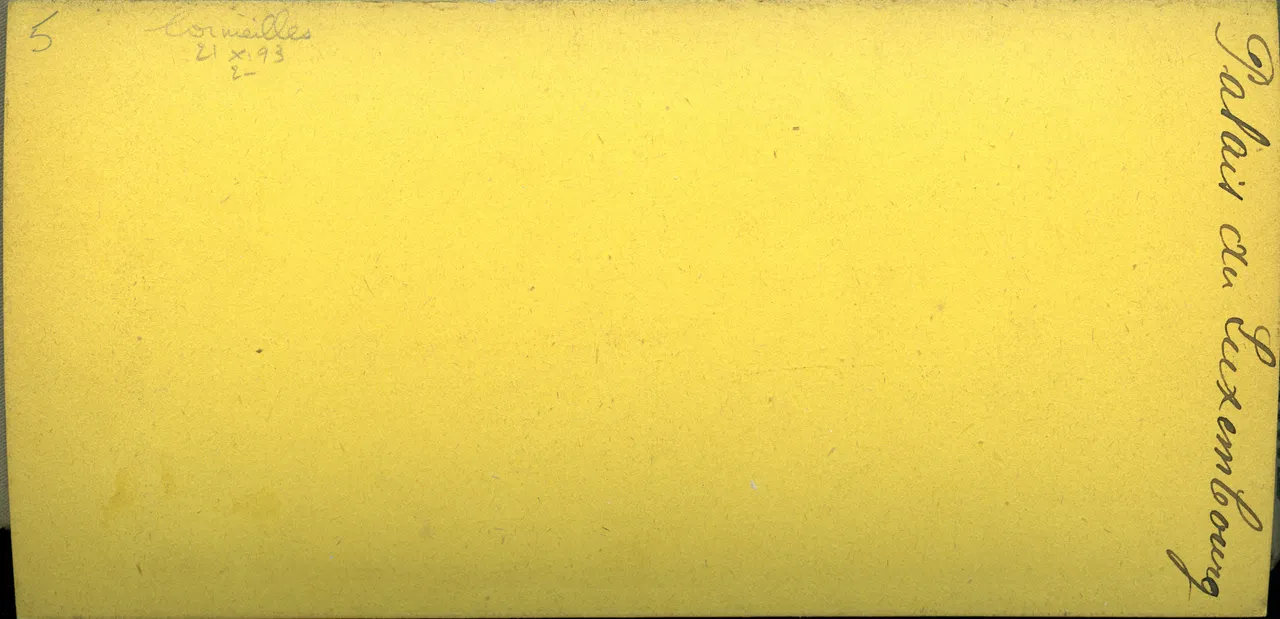 MAG3361.jpg