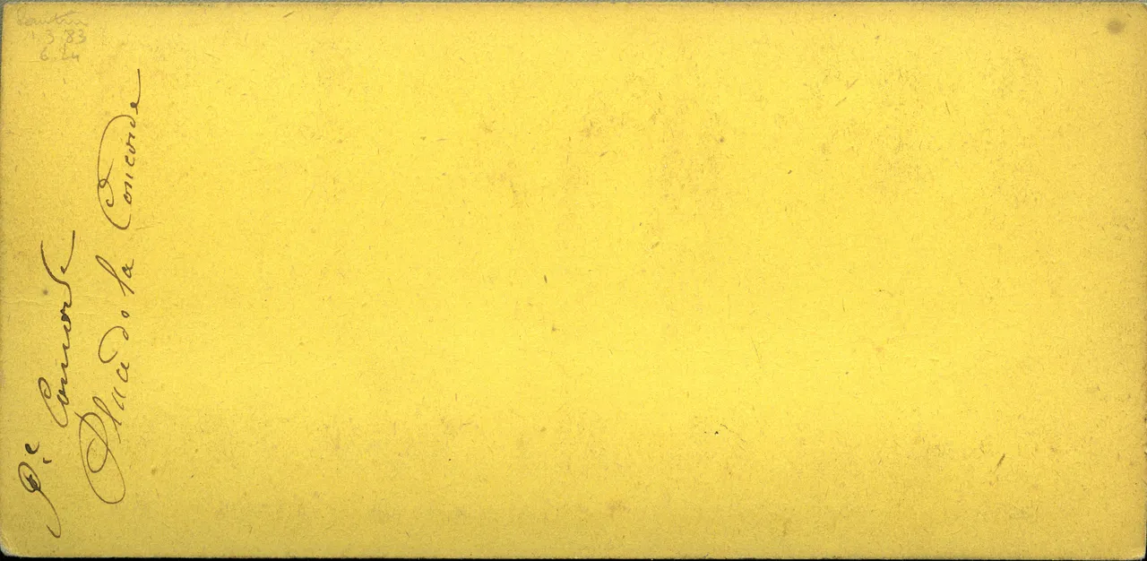 MAG3364.jpg