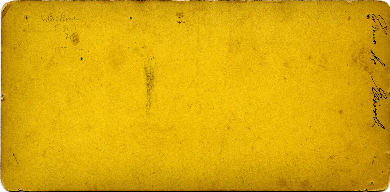 MAG3390.jpg