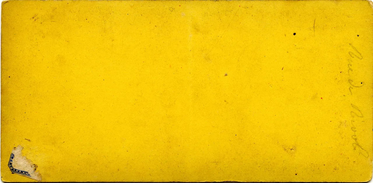 MAG3391.jpg