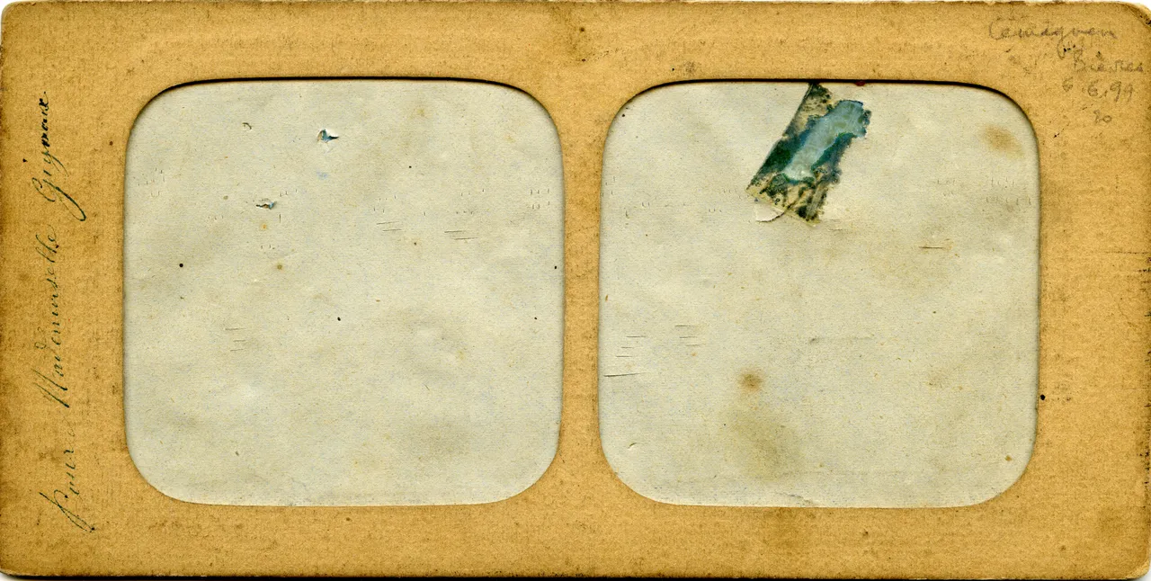 MAG3393.jpg