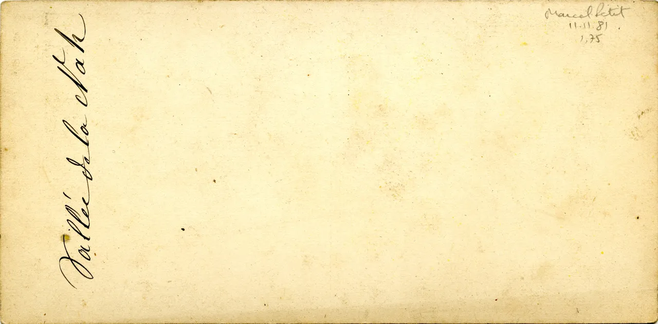 MAG3441.jpg