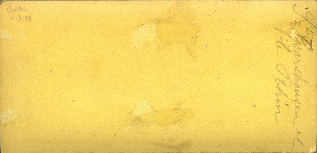 MAG3443.jpg