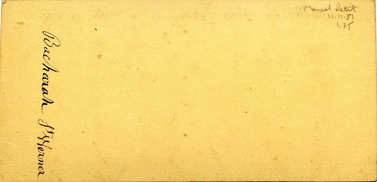 MAG3447.jpg