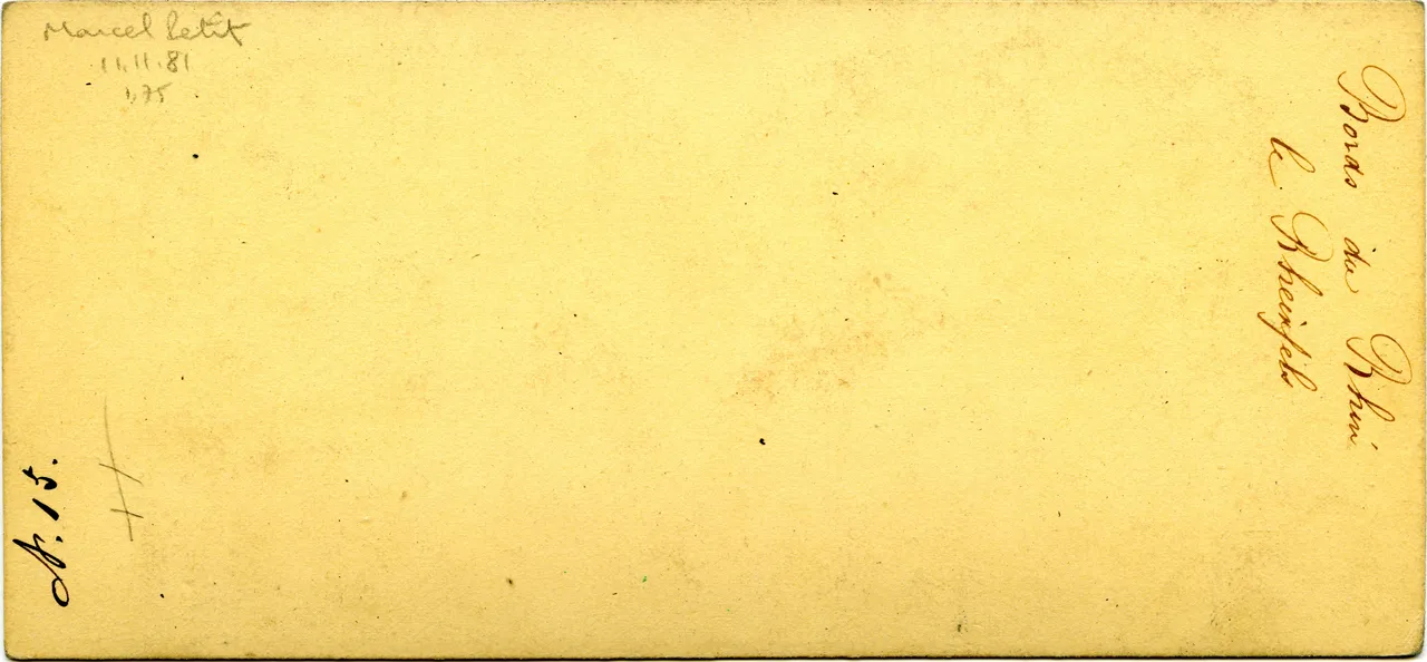 MAG3448.jpg