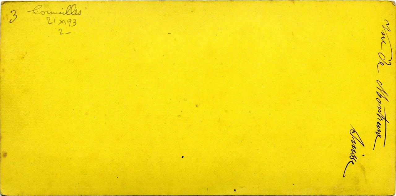 MAG3542.jpg