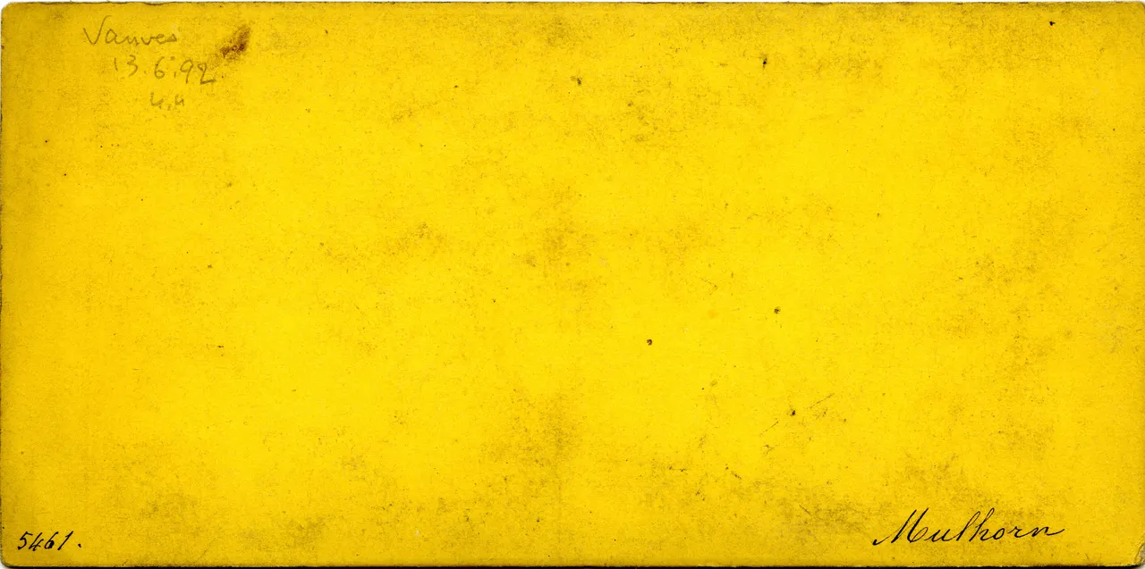 MAG3558.jpg