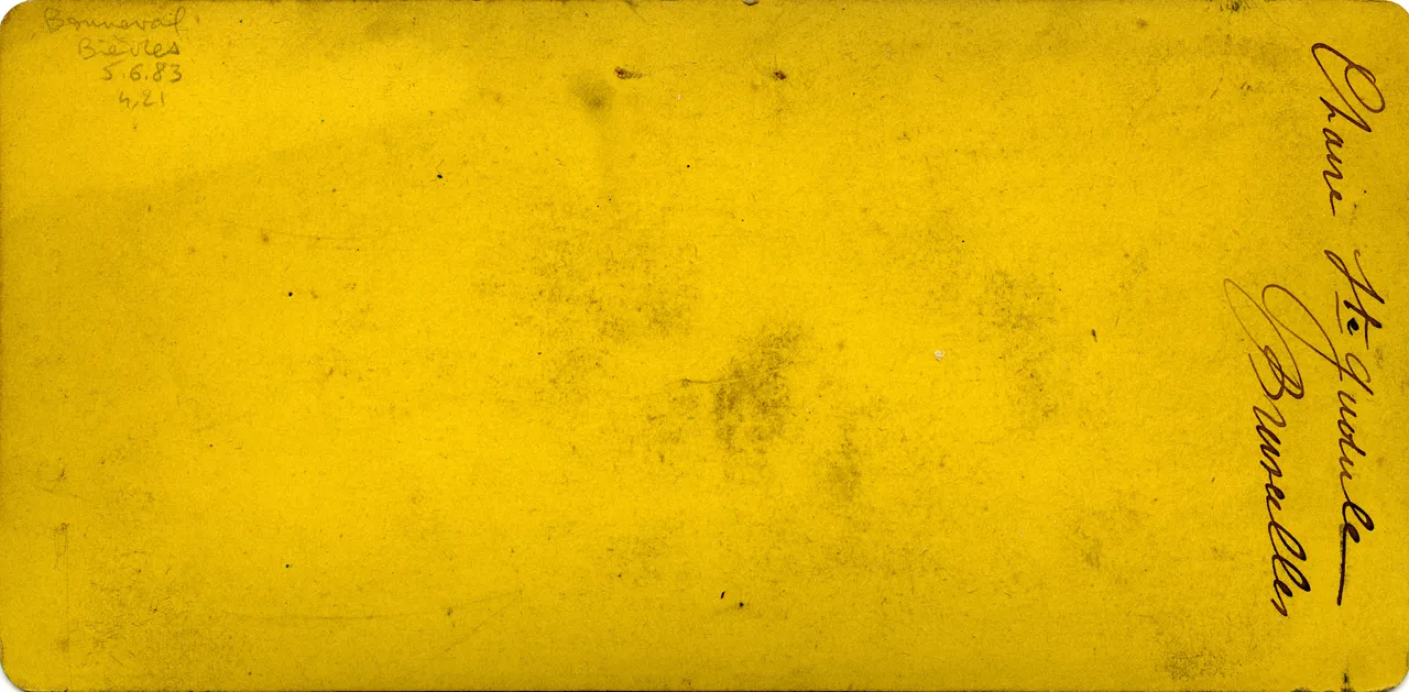 MAG3574.jpg