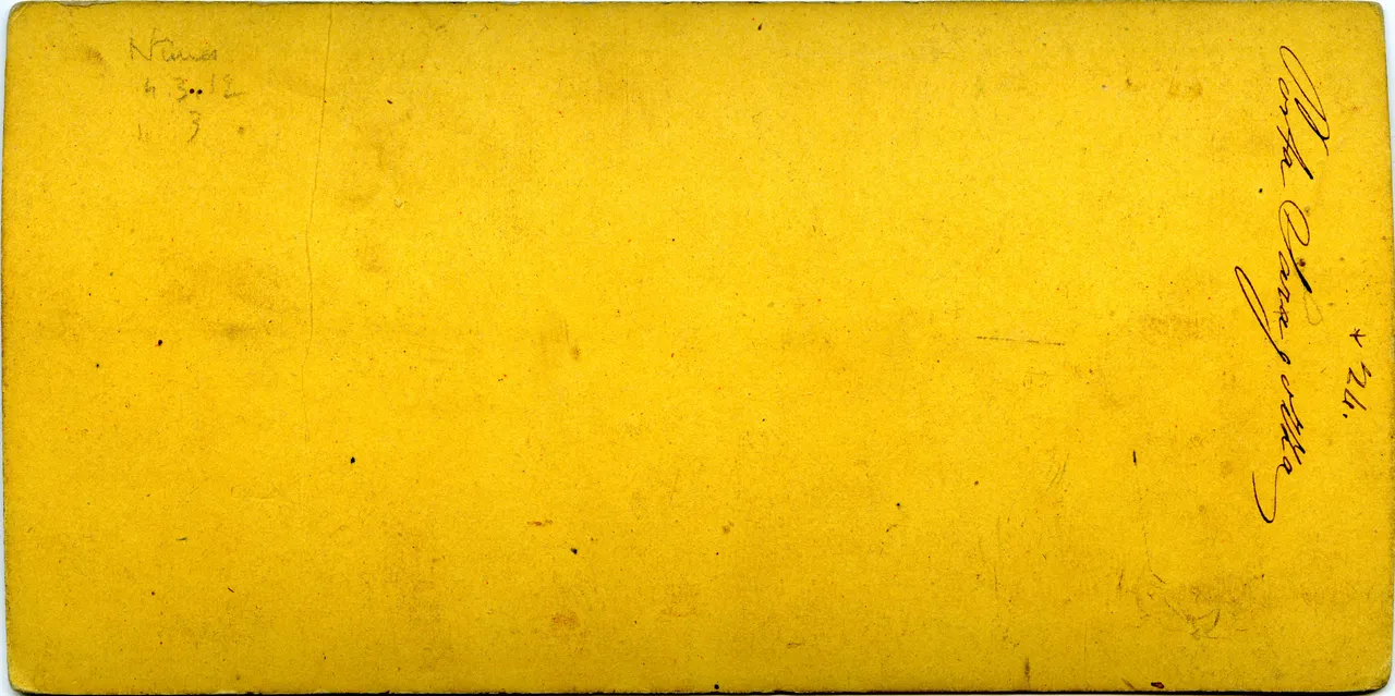 MAG3626.jpg