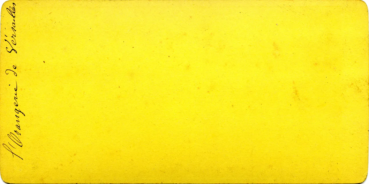 MAG3705.jpg