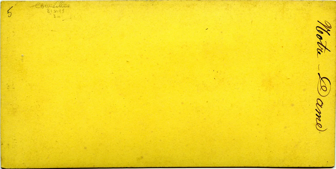 MAG3723.jpg