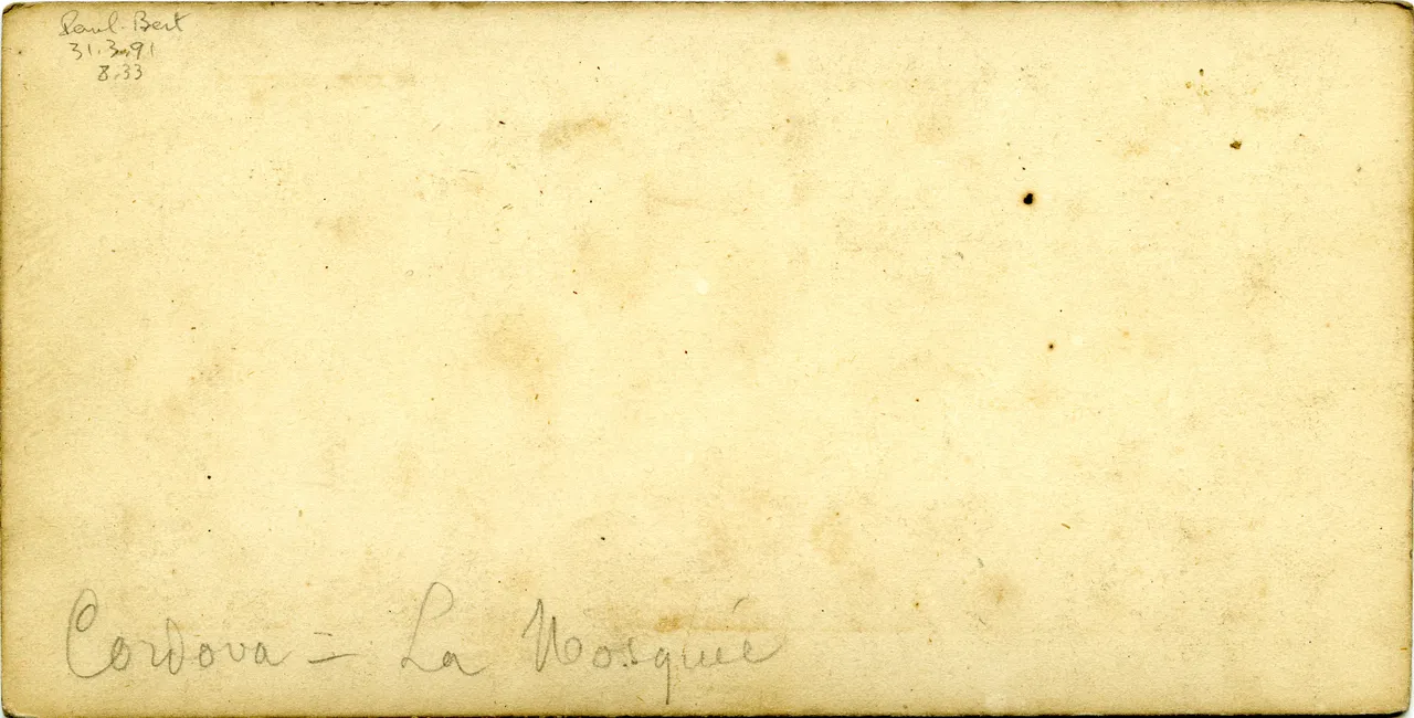 MAG3645.jpg