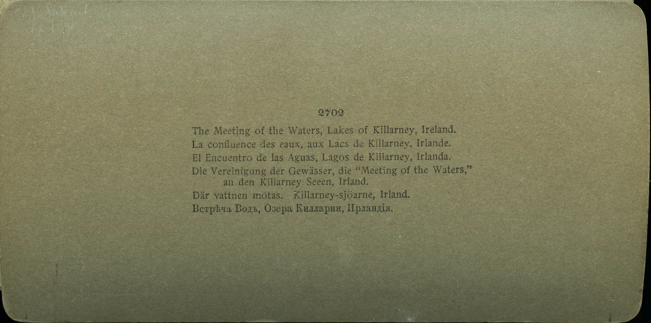 MAG3682.jpg
